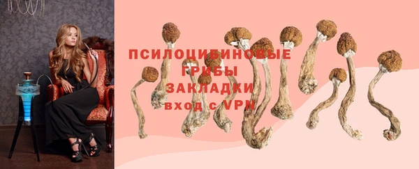 молекула духа Баксан