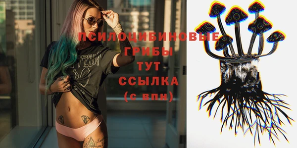 молекула духа Баксан